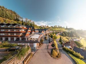 widok z góry na miasto w obiekcie Hotel Dollenberg w mieście Bad Peterstal-Griesbach