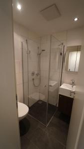 een badkamer met een douche, een toilet en een wastafel bij Appartement Geisler in Finkenberg