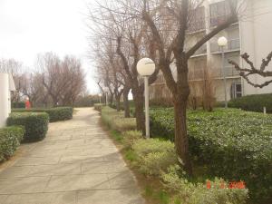 a sidewalk with trees and a street light next to a building at Studio la grande motte, parking in La Grande-Motte +1 photo