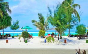 フルマーレにあるRivethi Beachのヤシの木が植えられたビーチ