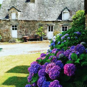 una vecchia casa in pietra con fiori viola di fronte di Ò FaYa Cottage votre Gîte calme et verdoyant en Bretagne a Saint-Mayeux Altre 30 foto