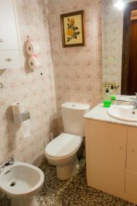 un bagno con un water e un lavandino di Casa Blascosanz - piso para 6 personas en el pirineo a Hecho Altre 15 foto