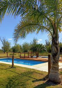 a palm tree next to a swimming pool at Cabañas Manantiales de Obligado in San Pedro