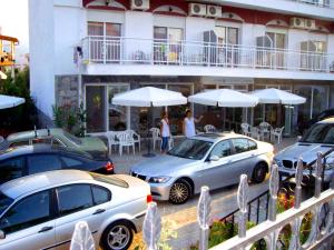Gallery image of Hotel TRIADA in Limenaria +15 photos