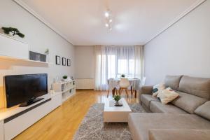 TV a/nebo společenská místnost v ubytování Apartamento Albelda Centro