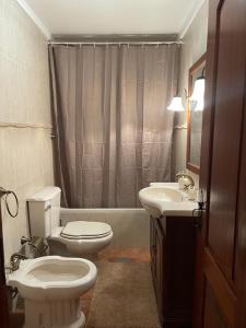 a bathroom with a toilet and a sink and a shower at Casa da Aldeia in Azevo +37 photos