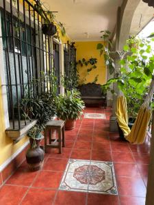 Foto de la galería de Casa Quetzalli, La Recolección en Antigua Guatemala