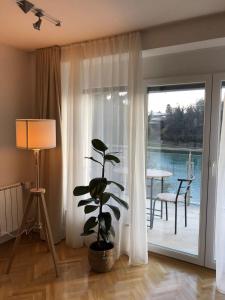 a living room with a plant and a sliding glass door at Maximo Apartments - free parking in Maribor
