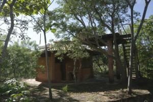 ein kleines Haus inmitten einiger Bäume in der Unterkunft Chalé na Chapada, com acesso ao Rio São Miguel in Sao Jorge