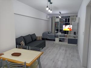 a living room with a couch and a table and a tv at Apart hermoso cerca del pulmón verde porteño - Alkyl House in Buenos Aires