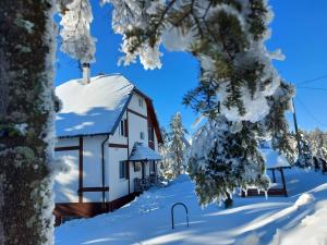 Apartmani Borova Iglica Divčibare durante o inverno