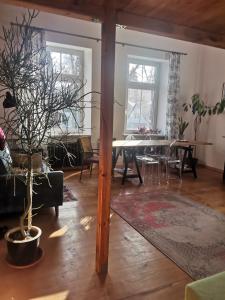 salon ze stołem i jadalnią w obiekcie Znajomi Znajomych w mieście Sokołowsko