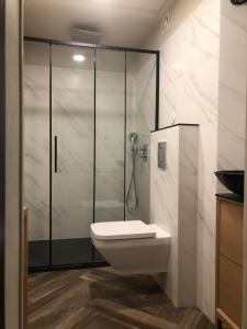 Koupelna v ubytování Arte-locum Apartamenty przy Rynku + 37 fotografií