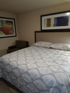 a bedroom with a bed with a white comforter at Anglers Hideaway Cabins Extended Stay in Mead