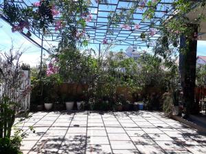 a garden with trees and plants in a greenhouse at Dalat Garden Villa in Da Lat