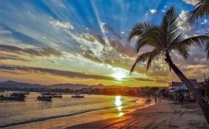 a palm tree on a beach with a sunset at Bungalows Princeza Guayabitos in Rincon de Guayabitos