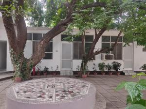 a clock in front of a building with two trees at Vatika Homestay in Varanasi