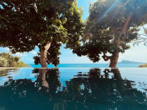 a view of the water with trees in the foreground at El jardin Botánico Villa LUZ in Altea