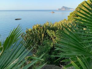a view of a body of water with plants at El jardin Botánico Villa LUZ in Altea