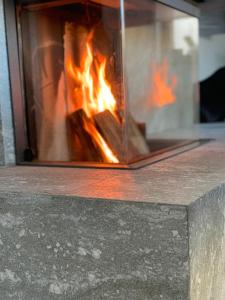 Billede fra billedgalleriet på Miyama Heiligenberg i Heiligenberg