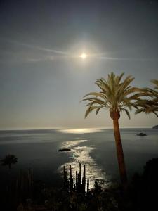 a palm tree in front of the ocean with the sun at El jardin Botánico Villa LUZ in Altea