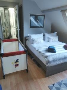 een slaapkamer met 2 bedden en een spiegel bij Agréable chambre d’hôte à la campagne in Villefranche-Sur-Cher