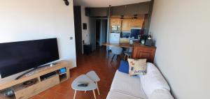 een woonkamer met een bank en een grote televisie bij Zen et Mer in Le Grau-du-Roi
