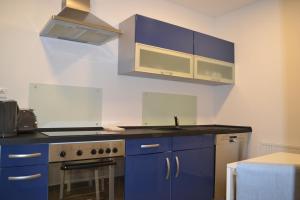 a kitchen with blue cabinets and a stove at Apartment mit Terrasse und eigenem Eingang in Radevormwald