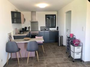 Η κουζίνα ή μικρή κουζίνα στο Villa La Baronne-Hauteurs de Beaulieu-sur-Dordogne +21 φωτογραφίες