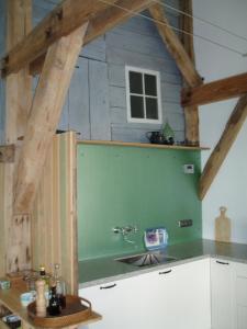 a kitchen with a sink and a green wall at Koetshuis in Veenhuizen