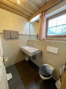 a bathroom with a toilet and a sink and a window at Appartment Dörler in Kirchberg in Tirol