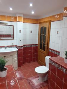 Kúpeľňa v ubytovaní Apartmán u potoka