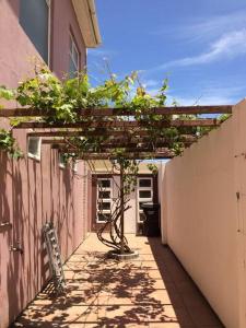 ウォルビスベイにあるCozy & spacious family homeの路地の真ん中にある小さな木