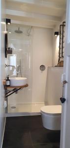 een badkamer met een douche, een wastafel en een toilet bij Authentiek vakantiehuisje in Terneuzen