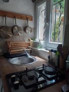 Il comprend une cuisine équipée d'une cuisinière et d'un évier avec des casseroles et des poêles. dans l'établissement Garden Annexe, à Villeneuve-Loubet