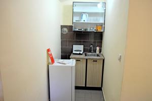 una piccola cucina con lavandino e frigorifero di Riverside Apartments Chiara a Ulcinj