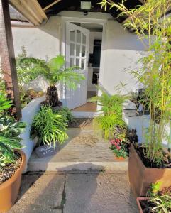 a front door of a house with potted plants at Idyllic Cornish Cottage, Superking bed, private garden dogs welcome in Truro