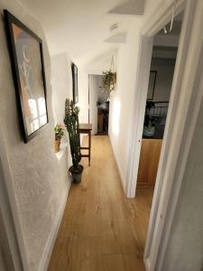 a hallway with white walls and wooden floors and plants at Idyllic Cornish Cottage, Superking bed, private garden dogs welcome in Truro