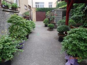 a garden with potted plants on the side of a building at Hotel Morava Jevíčko in Jevíčko