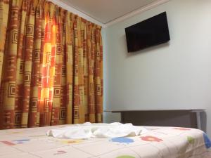 TV a/nebo společenská místnost v ubytování Rosa's Hotel + 27 fotografií