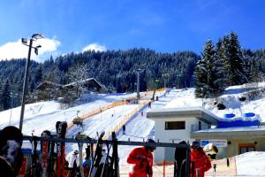 Appartment Almenliesl v zime