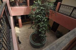 Foto dalla galleria di Hotel Cecil a Marrakech