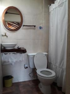La salle de bains est pourvue de toilettes, d'un lavabo et d'un miroir. dans l'établissement Flor de las Sierras, à Capilla del Monte