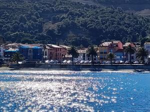 vista su una città con una cassa d'acqua di La perle de Collioure à 100 métres de la plage de sable fin avec piscine et parking a Collioure