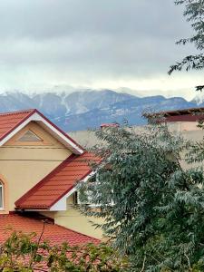 una casa con techo rojo con montañas al fondo en Наш Дом en Adler