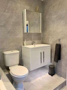 a bathroom with a toilet and a sink and a mirror at Renovated Miner’s Cottage - family & dog friendly in Abertillery