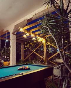 Biliár nebo kulečník v ubytování Villa Sea View