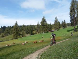 Pension Schlaneiderhof vendégei