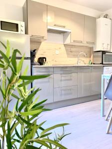 a kitchen with white cabinets and a plant in the foreground at L'appart des Tanneurs in Metz