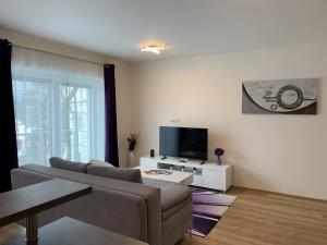 a living room with a couch and a tv at Apartmán s vyhlídkou in Horní Maršov